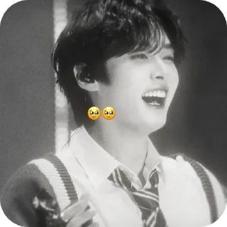 🥺 emoji lee know ➡️ @Ctikerubot Telegram sticker 7 of 13