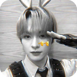 🫡 emoji lee know ➡️ @Ctikerubot Telegram sticker 9 of 13