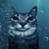 🌟 emoji ㅤ ➡️ @Ctikerubot Telegram sticker 15 of 17
