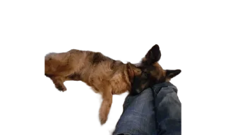 Sticker from micro gsd