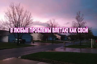 Sticker from 2k17