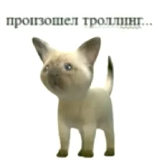 🤩 emoji ДИМА БРЕНДОВЫЙ Telegram sticker 5 of 29