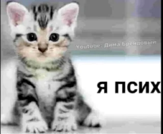 🤩 emoji ДИМА БРЕНДОВЫЙ Telegram sticker 18 of 29