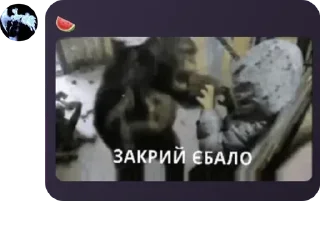🥾 emoji Сапфіровий Сенат pack by @QuotLyBot Telegram sticker 1 of 101