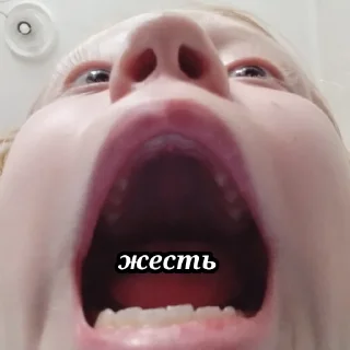 Sticker from Жесть