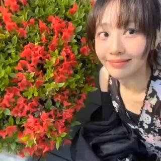 😍 emoji yves _@xewwqq Telegram sticker 9 of 50