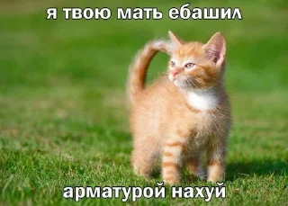 ❤️ emoji котейки Telegram sticker 22 of 35
