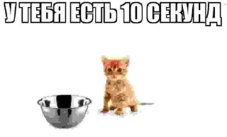 🕐 emoji котейки Telegram sticker 12 of 35