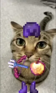 😎 emoji Мр пенсєл🗣️🗣️🗣️🔥🔥 ➡️ @Ctikerubot Telegram sticker 8 of 8