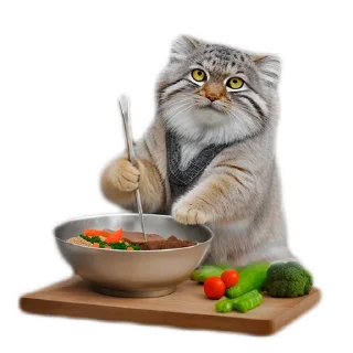 👨‍🍳 emoji Everyday Manul @animalplantspb Telegram sticker 21 of 35