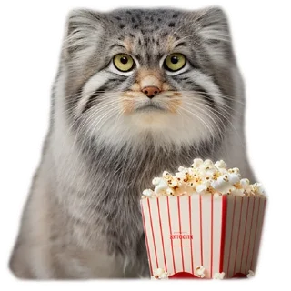 🍿 emoji Everyday Manul @animalplantspb Telegram sticker 11 of 35