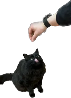 👅 emoji мос Telegram sticker 22 of 108