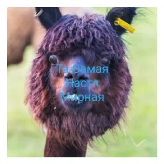 😄 emoji Ооо Telegram sticker 18 of 25