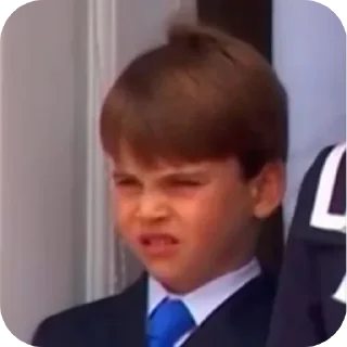🤨 emoji Prince Louis Telegram sticker 15 of 40