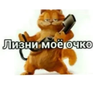 🥵 emoji милые котята Telegram sticker 24 of 47