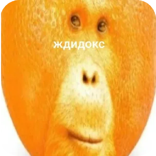 Sticker from Жди кокс