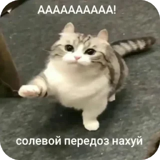 🖐 emoji Д-данечка Telegram sticker 10 of 52