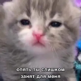 😢 emoji Данечка Telegram sticker 11 of 23