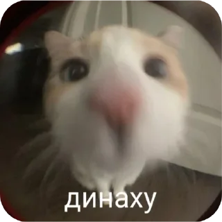 Sticker from Д-данечка