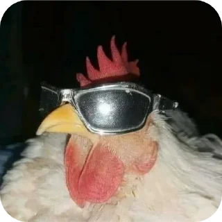 😎 emoji Д-данечка Telegram sticker 6 of 52