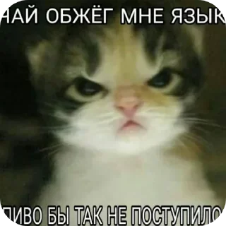 🍺 emoji Д-данечка Telegram sticker 21 of 52