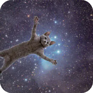 ⭐ emoji Д... Д... Данечка Telegram sticker 14 of 35