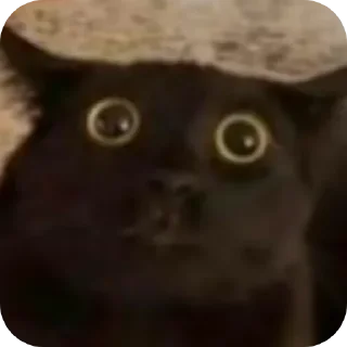 😳 emoji Д-данечка Telegram sticker 9 of 52