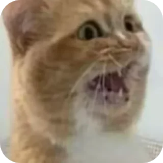😨 emoji Д-данечка Telegram sticker 24 of 52