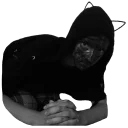 😾 emoji Патриарх Евгений Telegram sticker 19 of 67