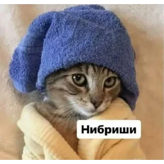 😐 emoji муд : Telegram sticker 10 of 93
