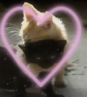 🥰 emoji муд : Telegram sticker 22 of 93