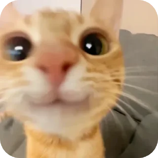 😊 emoji Д-данечка Telegram sticker 13 of 52