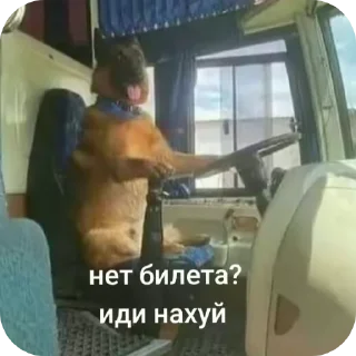 👍 emoji Хайп Telegram sticker 17 of 75