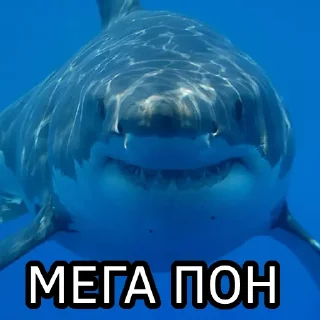 Sticker from Пон