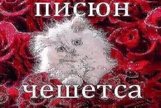 😣 emoji клоунада Telegram sticker 8 of 108
