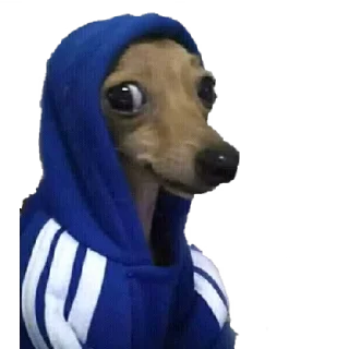 😂 emoji Лол Telegram sticker 24 of 29