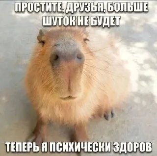 Sticker from бред