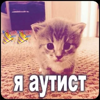 😒 emoji куни ➡️ @Ctikerubot Telegram sticker 17 of 34