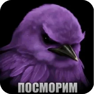 Sticker from Птички