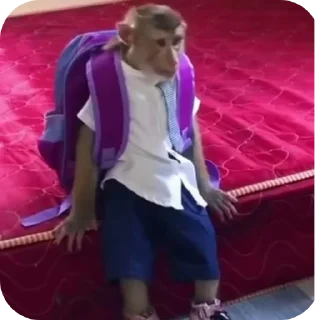 😔 emoji бибизяны-обезьяны Telegram sticker 16 of 19