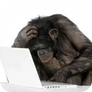 🤨 emoji бибизяны-обезьяны Telegram sticker 3 of 19