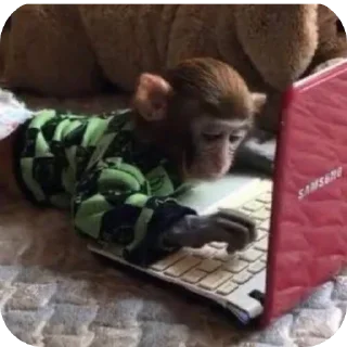 🐒 emoji бибизяны-обезьяны Telegram sticker 2 of 19