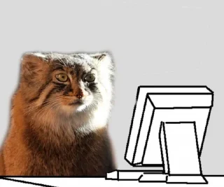 👀 emoji Manul Telegram sticker 15 of 71