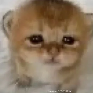 🥺 emoji Мама Telegram sticker 12 of 120