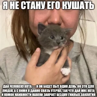 Sticker from Котята страх