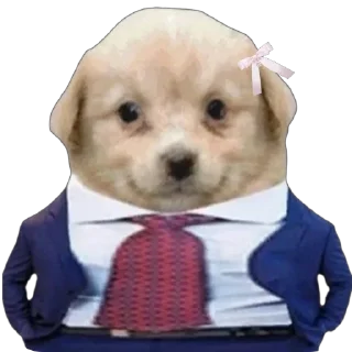 😎 emoji чонини🦊🦊@jeonginxxxx Telegram sticker 18 of 35
