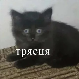 😳 emoji меми Telegram sticker 24 of 78
