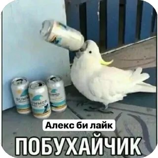 🫥 emoji Наш чатик Telegram sticker 5 of 9