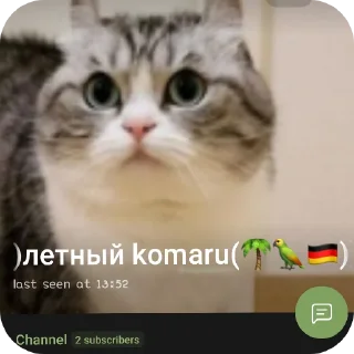 🐱 emoji НАШ МИР Telegram sticker 6 of 13