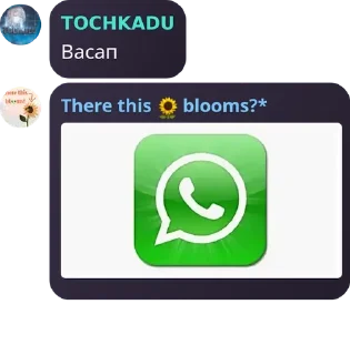 🇼🇸 emoji TOCHKADU CHAT pack by @QuotLyBot Telegram sticker 24 of 120